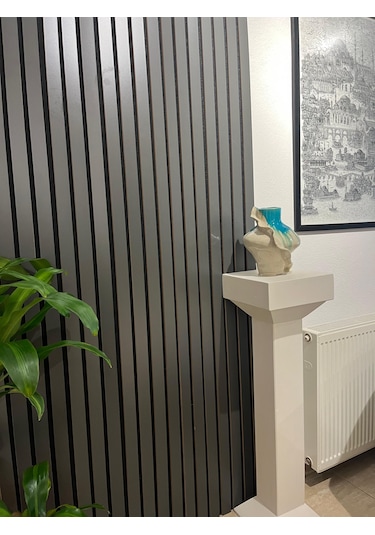 Özbir Mobilya Özbir Mobilya 100x240 Cm Antrasit Renk Akustik Duva