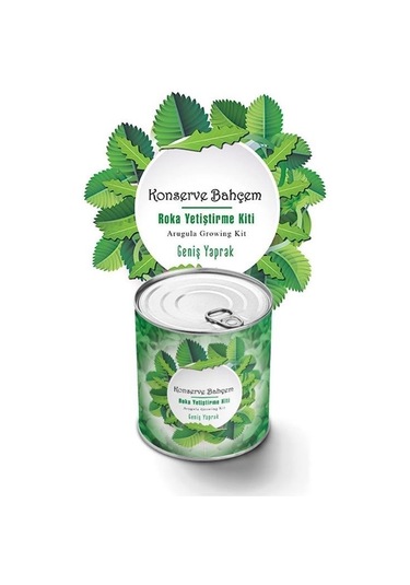 Buffer Konserve Bahçem Evde Konservede İri Yapraklı Roka Yetiştirme Kiti Mavi