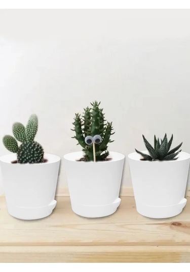 Interm Küçük Kaktüs Saksısı, Tabaklı, Saksı Seti 0,4 L 362274406