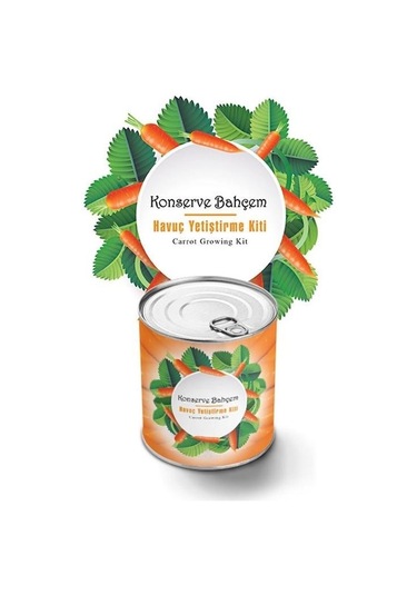 Buffer Konserve Bahçem Evde Konservede Havuç Yetiştirme Büyütme Kiti Mavi