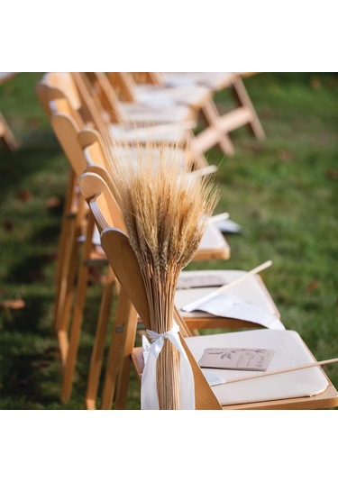 Hangfox Doğal Buğday Tohumu Çiçek Demeti, Açılış Hediyesi, Bahçe Dekorasyonu, 100 Adet, 60 Cm Uzunluk