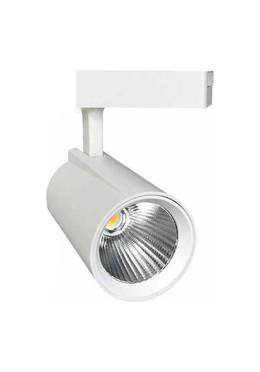 Forest 30w Ray Spot Beyaz Kasa Günışığı Çok Renkli