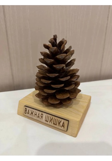 Önemli Kozalak Harika Bir Hediye 434827979