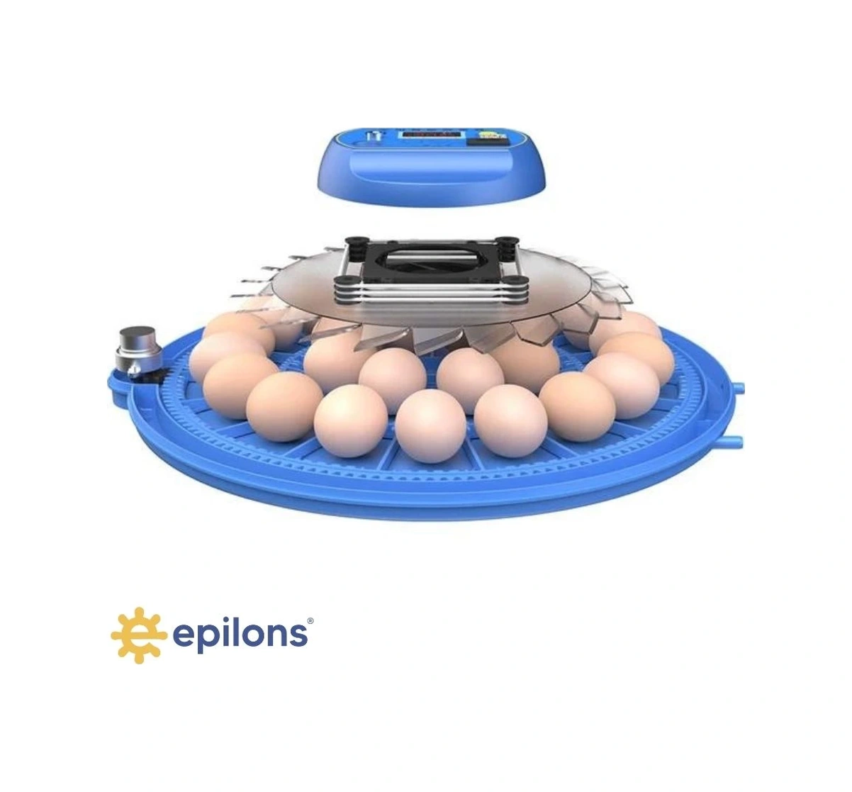 80/240 Kapasiteli Çift Viyollü Kuluçka Makinesi Kaz Ördek Tavuk Bıldırcın Kuşlar İçin