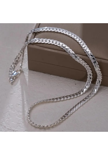 Silver Ezme Yassı Yılan Çelik Unisex Kolye 65cm Gümüş
