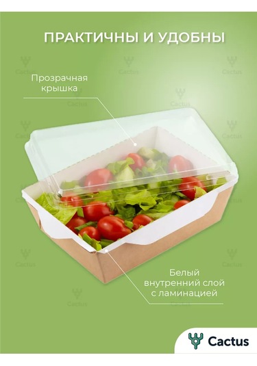 Cactus Tek Kullanımlık Trifolina Kutuları, 1000 Ml Yiyecek Kapları 224868224 100 adet