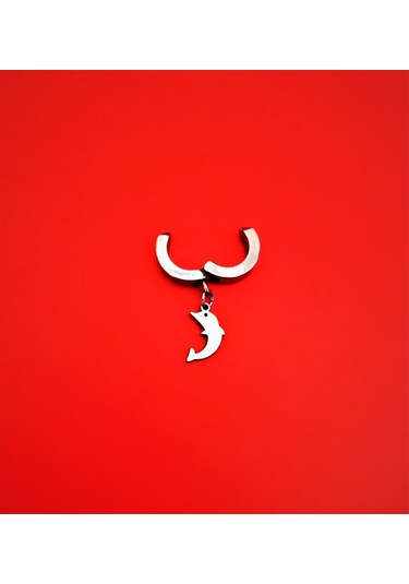 Tükkan Accessories 316l Cerrahi Çelik Yunus Figür Kıstırmalı Çelik Küpe-çlkgfkü17