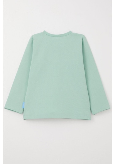 Breeze Erkek Bebek Uzun Kollu Tişört Basic 9 Ay-3 Yaş, Su Yeşili Su Yeşili