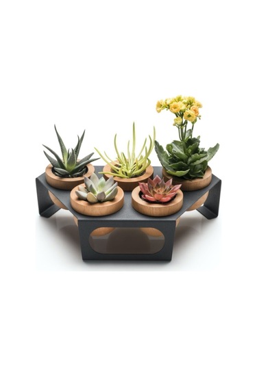 Halohope Metal Stantlı 5'li Skulent Saksısı Siyah Saksılık