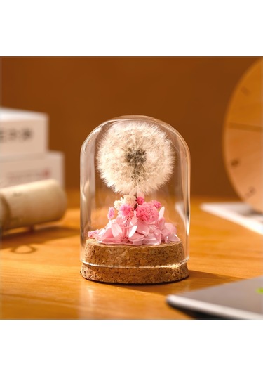 Mantar Tabanlı Sonsuz Karahindiba Cam Kubbe Süsü Kırmızı