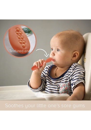 Reedark Bebekler İçin Silikon Kaşık Seti - 4'lü Paket, Bpa İçermez, Diş Dostu, Sağlıklı Beslenme Çok Renkli