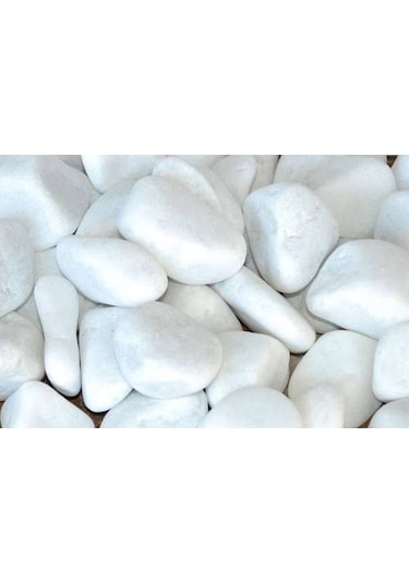 Dolomit Taş 6-10 Cm 5 Kg Beyaz Taş Bahçe Taşı Teraryum Akvaryum T