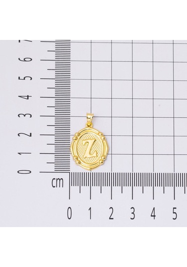 14 Ayar İtalyan Z Harfi Altın Kolye Klıms14k28900