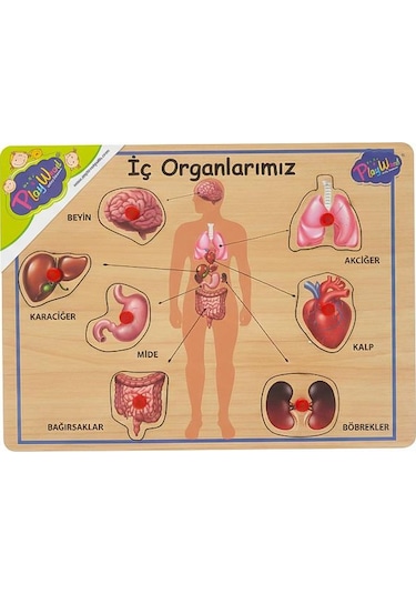 Playwood Ahşap Tutmalı Eğitici Puzzle İç Organlarımız ONY167