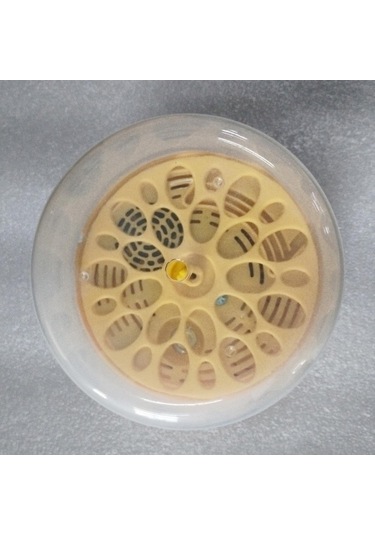 Suntek Bıldırcın Yumurtası Kuluçka Makinesi Turner Otomatik