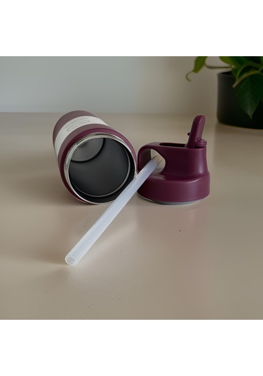 Prettify Çift Yalıtımlı Pipetli Stainless Steel Vakumlu Termos 550 ML