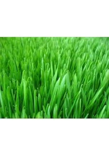 GRassmix Çim Tohumu 4 Lü Karışım