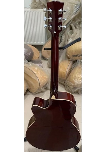 Elektro Akustik Gitar