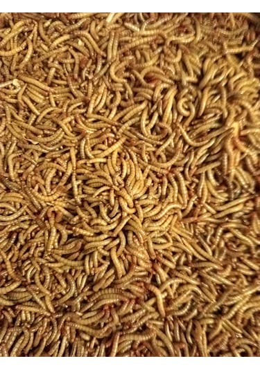Exolive Un Kurdu 2500'lü 250 G