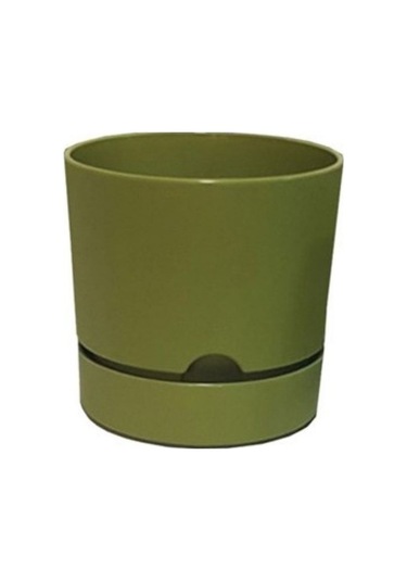 Polıwork Saksı Begonya 15 Cm Yosun Yeşili