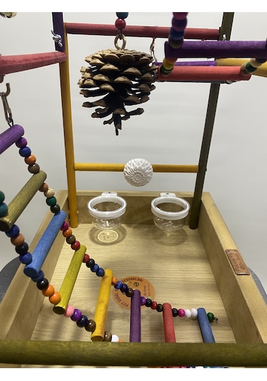 Paks Pet Kuş Oyun Parkı No:16