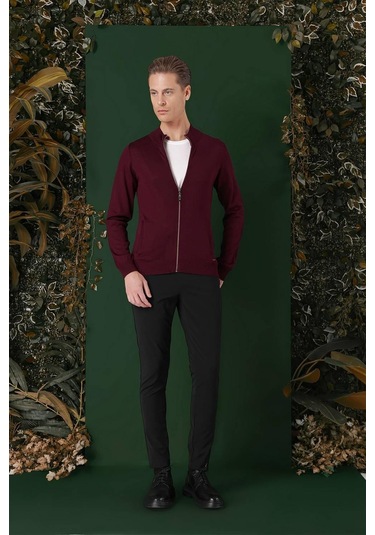Tr 860 Slim Fit Bordo Klasik Triko Bordo