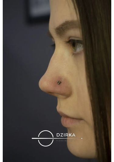 Dzirka Titanyum Labret Küpe Kulak Burun Dudak Piercing 144291939 Gri