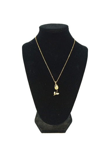 Kadın Çelik Kolye - Kçk-17 Çok Renkli