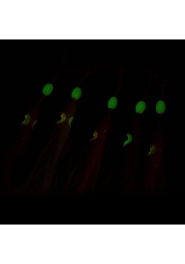 Teltree Deniz Balıkçılığı Işıklı Yumuşak Yem 5 Adet Silikon Kalem Balık Yemi, Parlak Yumru Ve İki Güçlü İğne İle