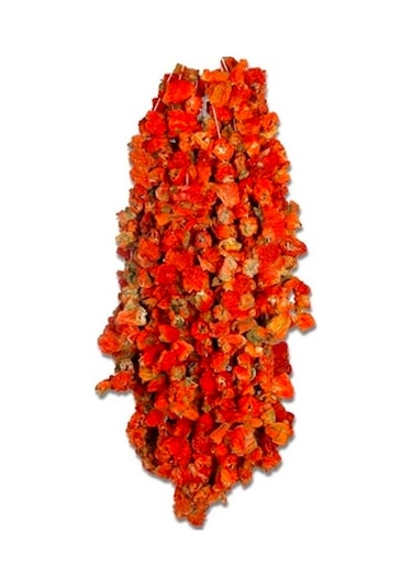 Antep Kuru Dolmalık Acı Biber 50 Adet