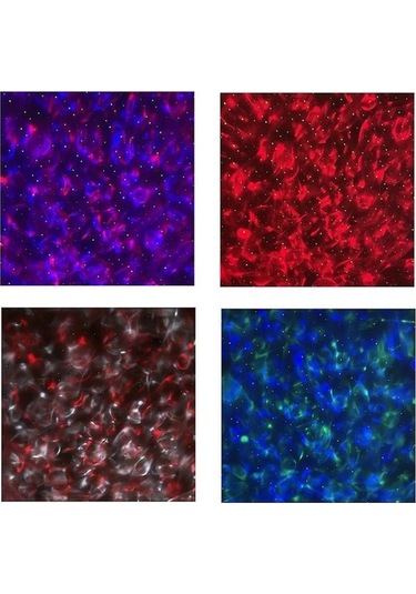 Metabagua Yıldız Projektörü Işık Akıllı Atmosfer Işık Ses Kontrolü Gece Lambası Usb Led X50g9d Beyaz