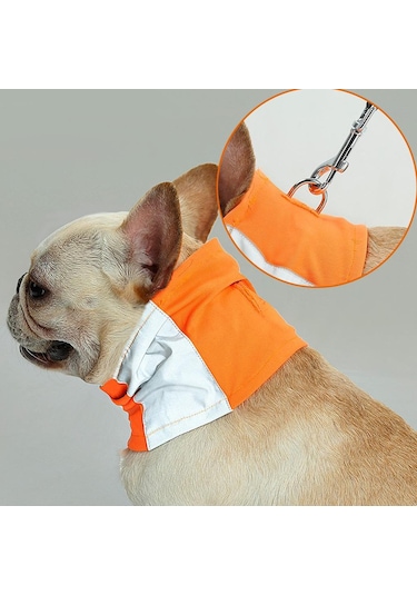 Homyl Pet Köpek Kedi Yansıtıcı Yaka Yavru Emniyet Boyun Askısı Turuncu