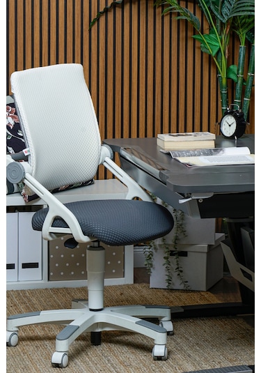 Creo Mobili Yükseklik Ve Sırt Ayarlı Sirius Çalışma Sandalyesi Ofis Ve Bilgisayar Koltuğu Beyaz/gri Gri