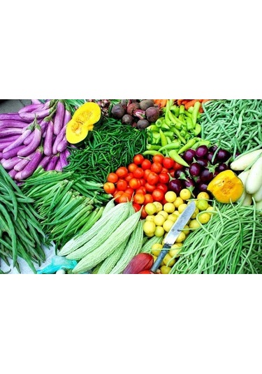 Eko Paket 5 Farklı Salatalık Tohumu + Tohum