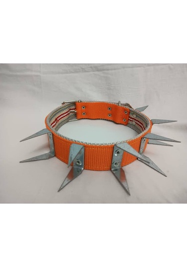 Kozaklı U Çivili Köpek Tasması Turuncu 70 x 4 CM