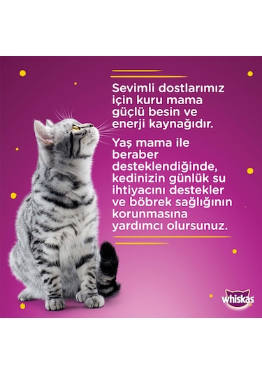 Whiskas Somonlu Pouch Yetişkin Kedi Konservesi 20 x 85 G
