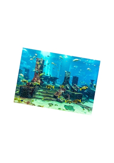 Qingmipy Akvaryum Dekoru: Kalın Pvc Denizaltı Kenti Enkaz Desenli, Su Geçirmez, Renk Kaybı Olmayan, Kolay Uygulanabilir Duvar Sticker 61x30 Cm