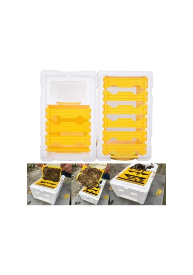 Homyl Kraliçe Arı Yetiştirme Kutusu Köpük Kovanı Bahçe