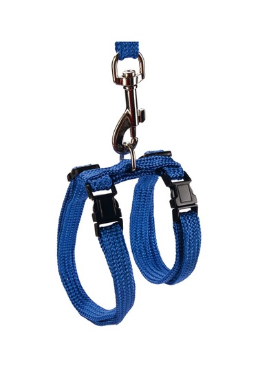 Beeztees Kedi Göğüs Tasması Ve Gezdirme Kayışı, 130cm, Mavi