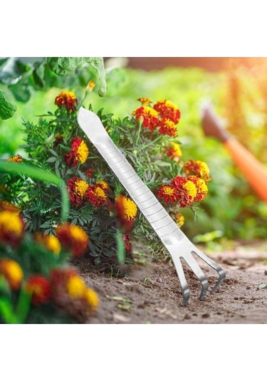 Pazly Yetiştirme Tırmık Suntek Stil-b Çatal Uçlu Bonsai 3 Kz