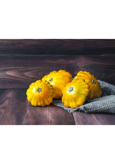 Sarı İstiridye Kabak Tohumu