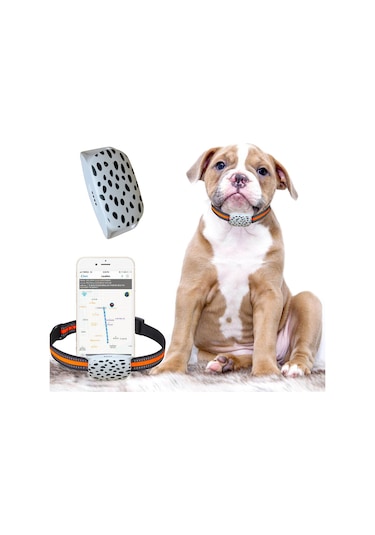 Erctec J2 Sim Kartlı BTK İmei Kayıtlı Gps Hayvan Takip Cihazı