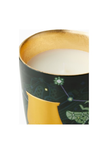 Trudon Fir Classic Odunsu Kokulu Mum Çok Renkli