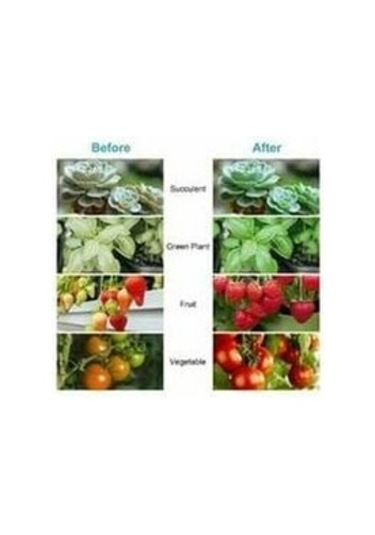 İç Mekan Bitkileri, Organik Hidroponik Ve Sera A+ İçin Tam Spektrumlu, Yetiştirme Işığına Sahip 4'lü E27 10w Led Ampul