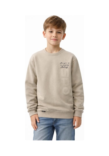 Baglan Erkek Çocuk Önü Baskılı Sweatshirt Bgl-st05233 Taş