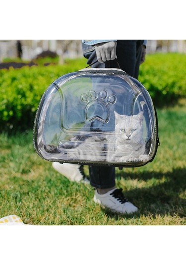 Homyl Kediler Seyahat Taşıyıcı Rahat Temiz 42cmx26cmx35cm