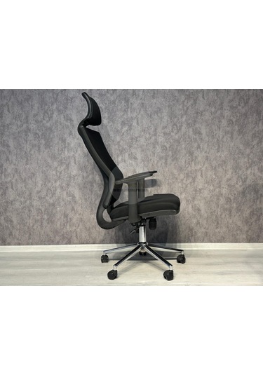 Eden Fileli Üst Düzey Yönetici Koltuğu