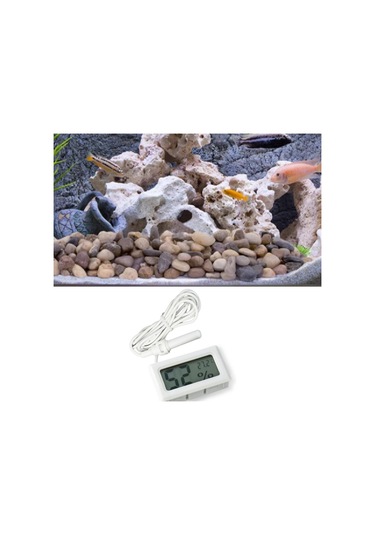 River World Higrometre Ve Termometre Dijital