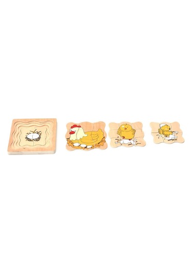Tavuk Gelişim Evreleri Puzzle