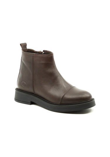 Dexter Tp812-26 Renkli Çok Renkli